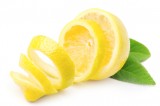 Lemon pectin kills bacteria viruses & cancer cells Lemon pectin kills bacteria viruses & cancer cells