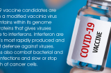 COVID-19 vaccines developed using Vaccinia which give a virus resistance to interferons and causes an immune deficiency COVID-19 vaccines developed using Vaccinia which give a virus resistance to interferons and causes an immune deficiency