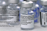 Pfizer/BioNTech COVID-19 vaccine ingredients and lipid nanoparticles harbours very serious health risks Pfizer/BioNTech COVID-19 vaccine ingredients and lipid nanoparticles harbours very serious health risks