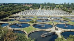 renewable fuel processing plant